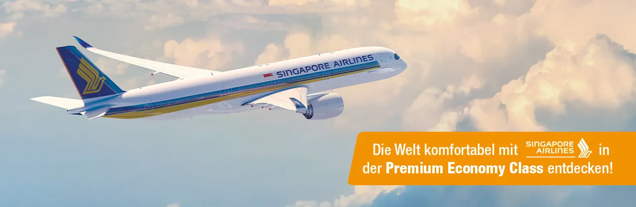 Header_1280x418px_WKZ_Singapore_ly01_flugzeug