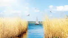 thumb image