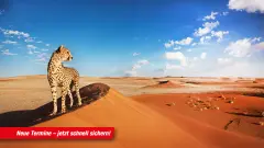 placeholder-image