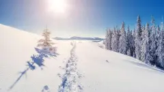 thumb image
