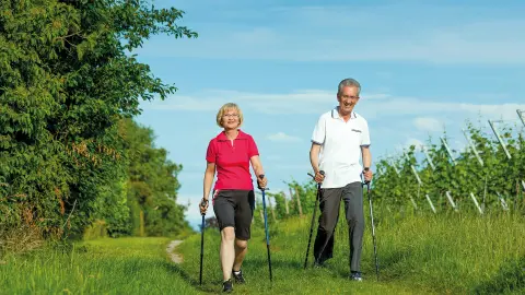 Seniorenpaar beim gemeinsamen Nordic-Walking im Grünen-placeholder