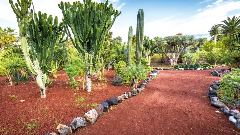Garten Puerto de la Cruz-placeholder