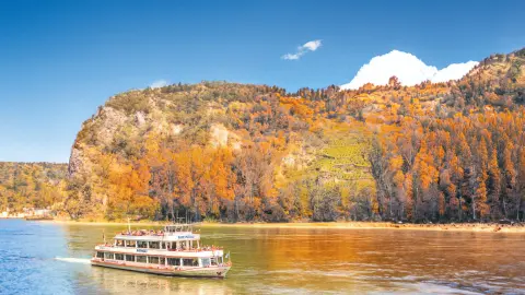 Idyllisches Rheintal-placeholder