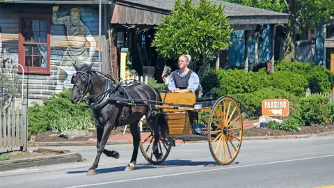 Amish auf einer Kutsche-placeholder
