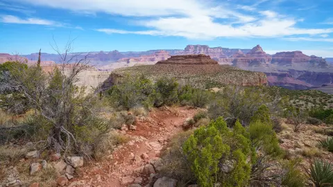 Erlebnis Grand Canyon Nationalpark mit trendtours-placeholder