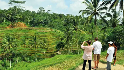DPS111-112_bali_content_1920x1080px_touristen_reisfelder-placeholder