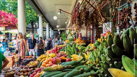 6806-09-Bluetenzauber-auf-Madeira_content_1920x1080px_Mercado-Municipal-do-Funchal-004Â©Francisco-Correi-placeholder