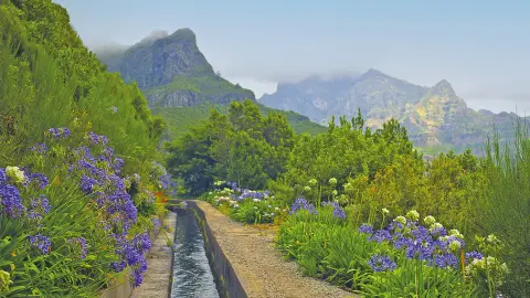 6806-09-Bluetenzauber-auf-Madeira_content_1920x1080px_levadas_2.jpg-placeholder