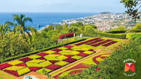 7066-71_Bluetenzauber-auf-Madeira_25_content_1920x1080px_madeira-titel_wkz-placeholder