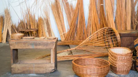 Korbweide-placeholder