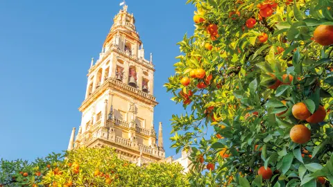 AGP111_Das-Beste-aus-Andalusien_content_1920x1080px_LaGiralda-Glockenturm_Sevilla-placeholder