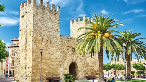 Stadtmauer von Alcúdia mit Palmen-placeholder