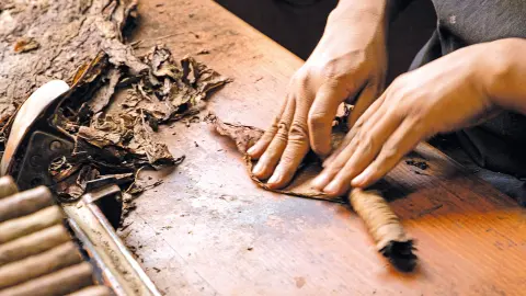 Einblicke in die Herstellung hochwertiger Zigarren-placeholder