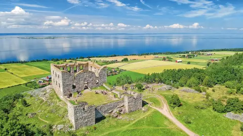 Burgruine Brahehus am Vätternsee-placeholder