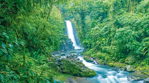 Wasserfallgarten im La Paz-Naturschutzgebiet-placeholder