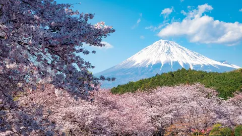 Ausblick auf den Berg Fuji-placeholder