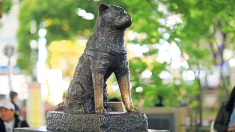 NRT111_Faszination-Japan_content_1920x1080px_Tokio_Hachiko-Statue-placeholder