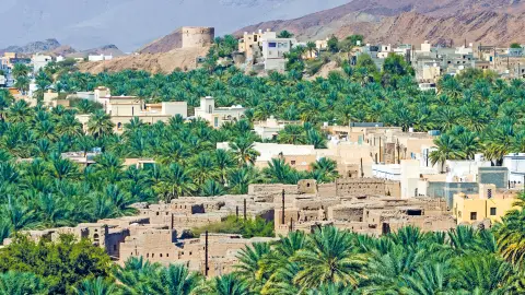 Aufenthalt in der traumhaften Oase Birkat Al Mouz-placeholder