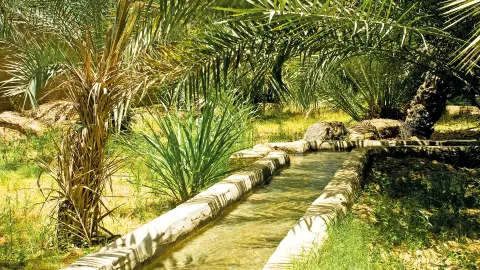 Falaj-Bewässerungssystem ist ein UNESCO-Weltkulturerbe, das bei trendtours Reisen angefahren wird. -placeholder