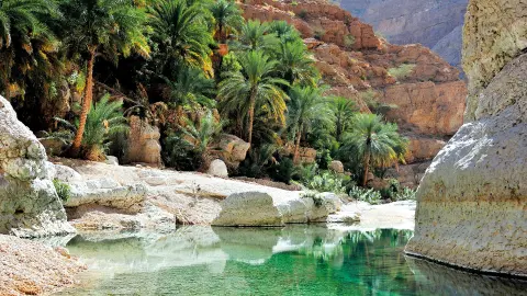 Fotostopp an der Wadi Shab-placeholder