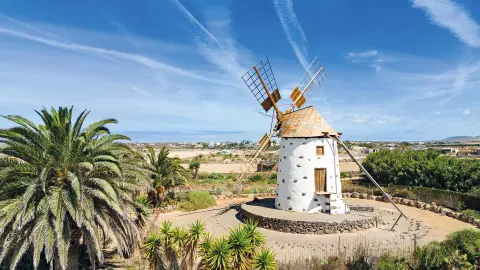 Traditionelle kanarische Windmühle-placeholder