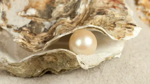 Traditionelles Perlenfischen mit trendtours erleben-placeholder