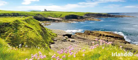 Irische Halbinsel Mullaghmore-placeholder