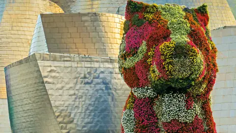 Guggenheim-Museum in Bilbao-placeholder