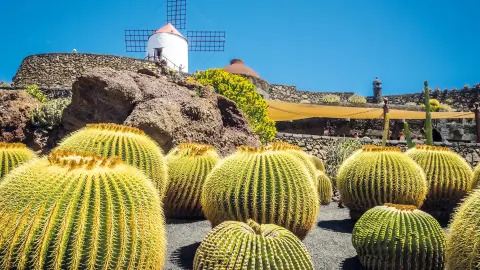 Lanzarote-placeholder
