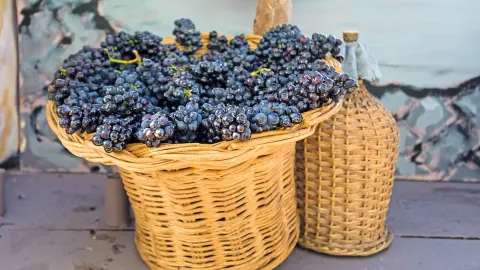 6837_Madeira_Porto-Santo_content_1920x1080px_wein-placeholder