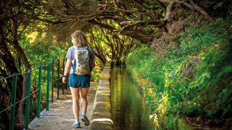 Levada-Wanderung mit trendtours erleben-placeholder