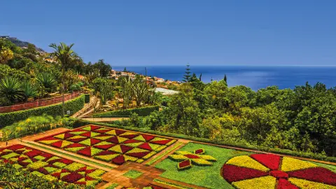 Blick auf Madeiras botanischen Garte mit gelben und roten Blumen-placeholder