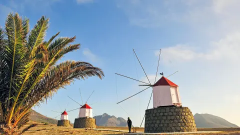Windmühlen auf Porto Santo mit Palmen-placeholder