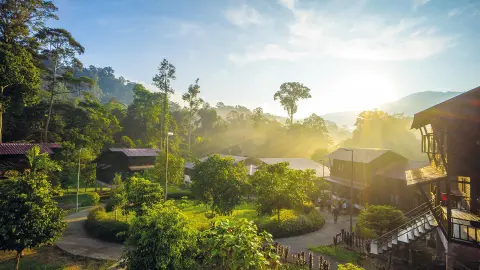 Taman-Negara-Nationalpark-placeholder