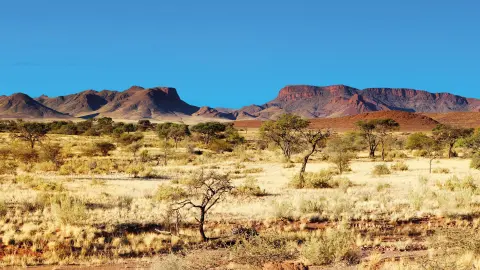 Kalahari-Wüste erleben-placeholder