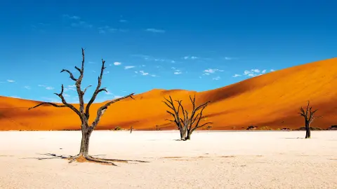 Salzpfanne des Deadvlei-placeholder