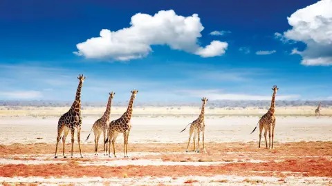 Die Weiten Namibias mit trendtours entdecken-placeholder