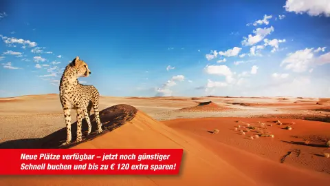 WDH111_Namibia_content_1920x1080px_Gepard_TITEL_stoerer-placeholder