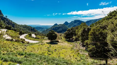Ausblick vom Coll de Sóller-placeholder