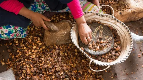 Traditionelle Herstellung von Arganöl-placeholder