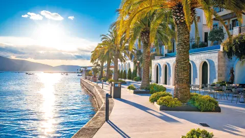 Promenade in Tivat mit Palmen und Meer-placeholder