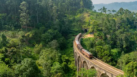 Zug auf Schienen in den Wäldern von Montenegro-placeholder