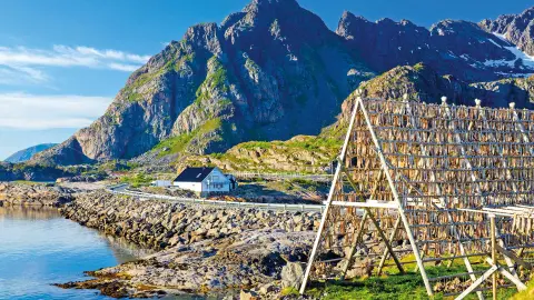 Stockfisch in Norwegen-placeholder