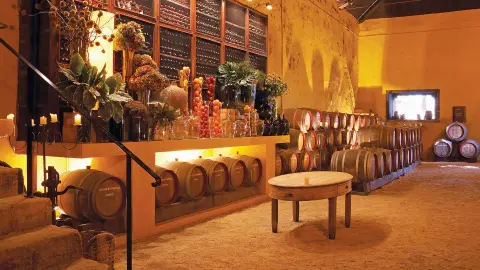 Pesticos Buffett mit trendtours genießen-placeholder