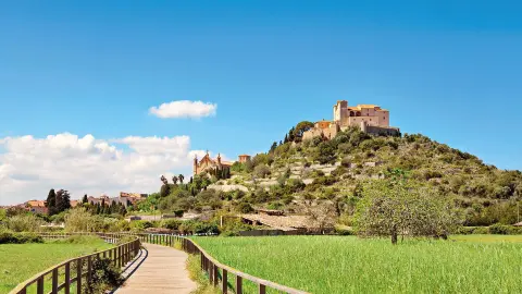 Künstlerstadt Artà-placeholder