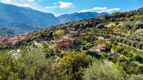 Fornalutx-placeholder