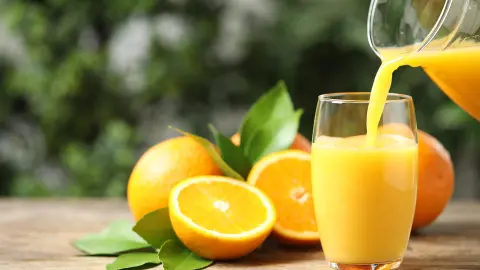 Besuch einer Orangenplantage inklusive Orangensaft-placeholder