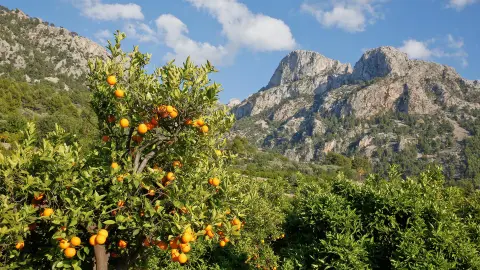 Tramuntana-Gebirge in Spanien-placeholder