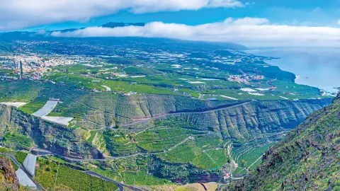 Miradorel Time-placeholder