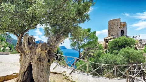 Banyalbufar-placeholder